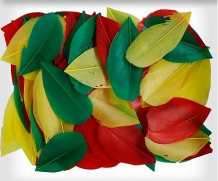 Pióra dekoracyjne ZIELONE ŻÓŁTE CZERWONE