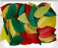 Pióra dekoracyjne ZIELONE ŻÓŁTE CZERWONE