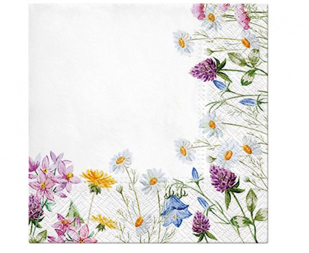   Serwetki wzorzyste Spring Frame 33x33cm/20 szt.