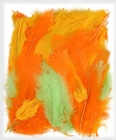 Pióra dekoracyjne neonowe