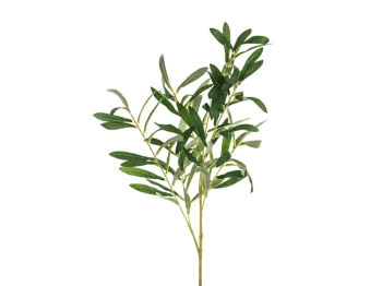 Gałązka oliwna, 91 cm